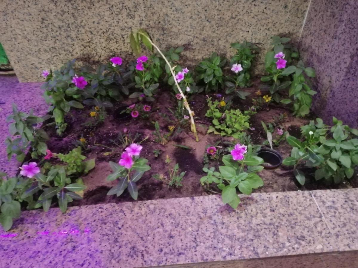 Khobar Fantastic Furnished Apartments Екстер'єр фото